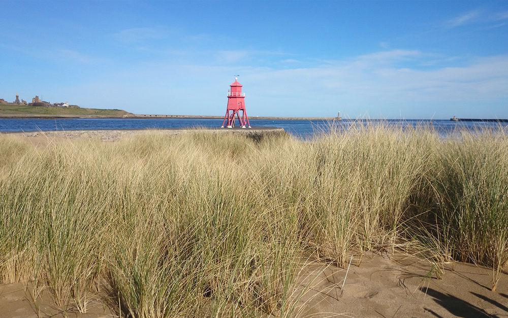 The Little Haven Hotel On The Beach South Shields Dış mekan fotoğraf